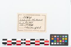 Etikett zu Bronzebrillenfibel (NHMW-PRAE-025920)